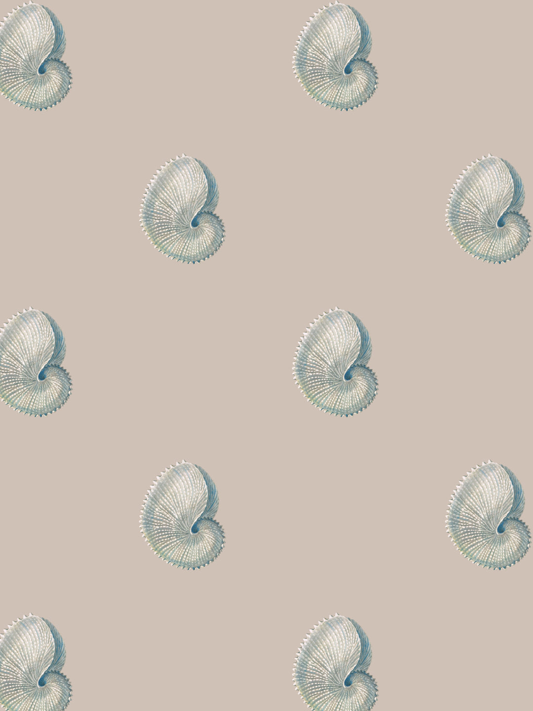 Wallpaper pattern of delicate argonaut  shells on a pink taupe background