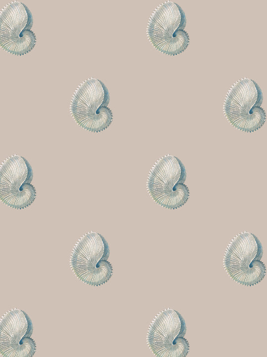 Wallpaper pattern of delicate argonaut  shells on a pink taupe background