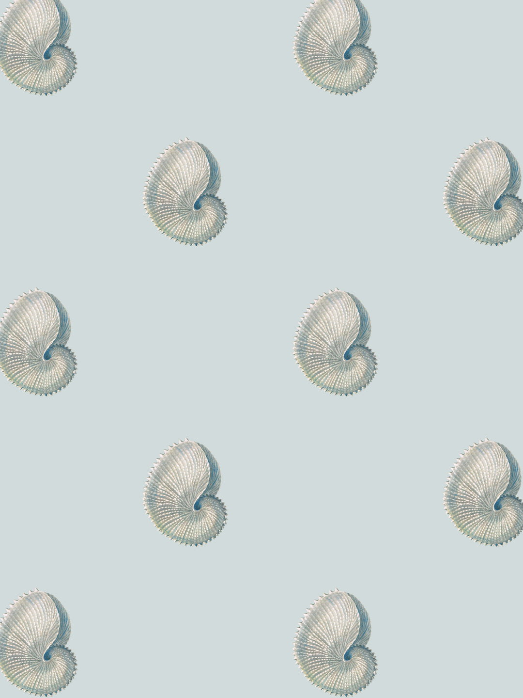 A home wallpaper pattern of shells on a light blue background