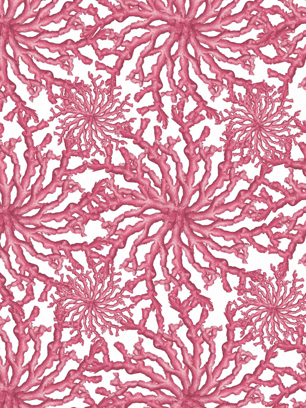 Pink coral patterned wallpaper  on a white background