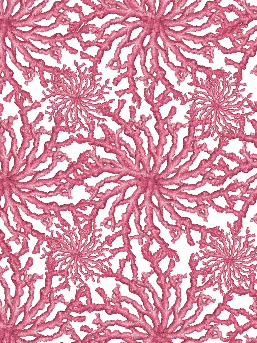 Pink coral patterned wallpaper  on a white background