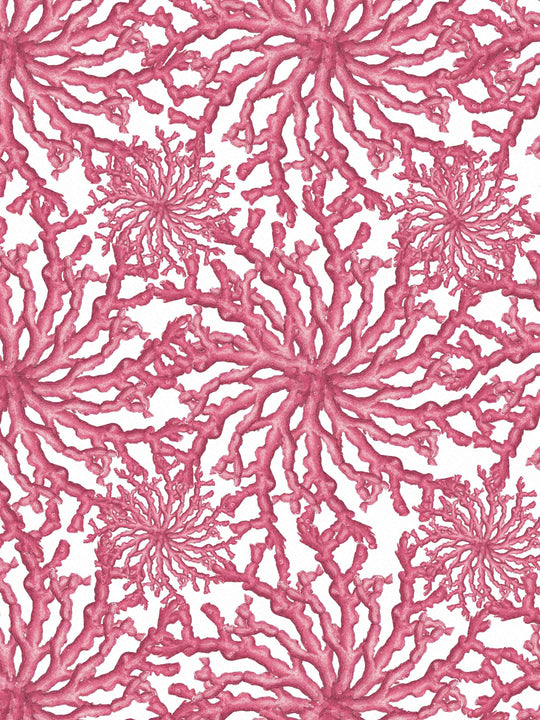 Pink coral patterned wallpaper  on a white background