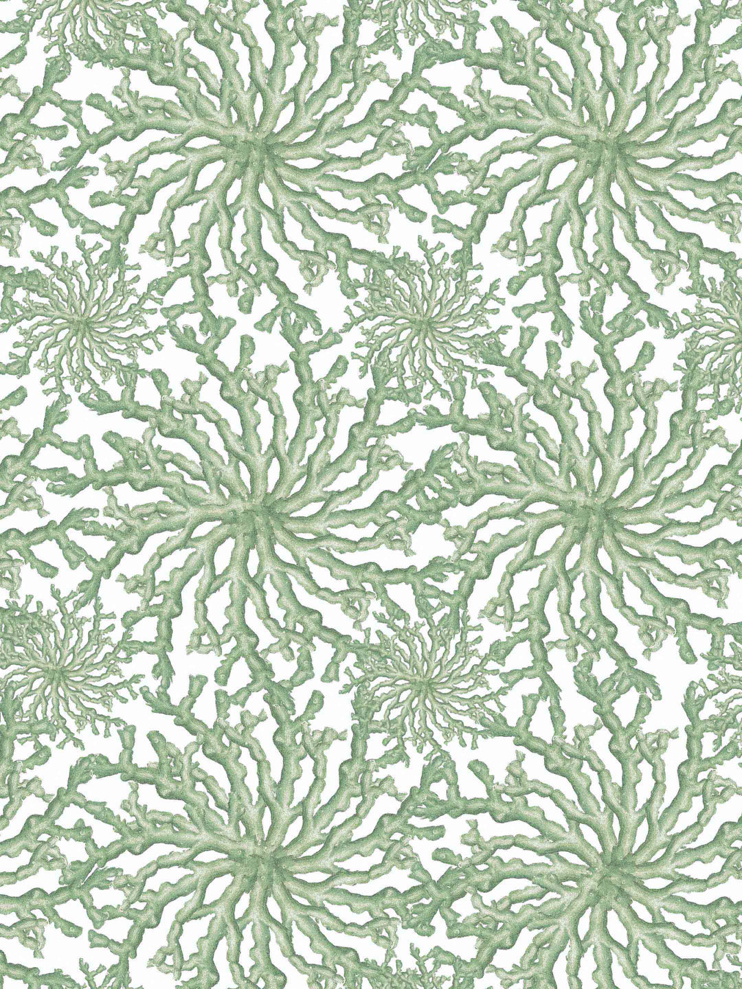 coral wallpaper design in pale sage green and white
