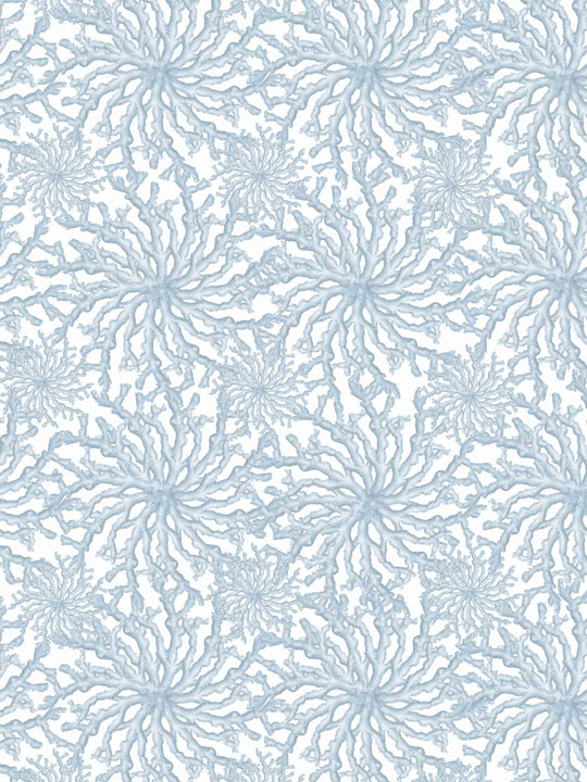a wallpaper pattern of light blue intricate coral on a white background