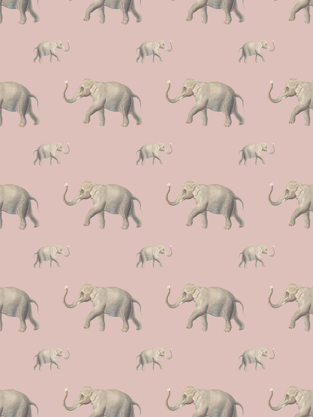 Eli (Our beloved elephant) Wallpaper - Dusty Pink