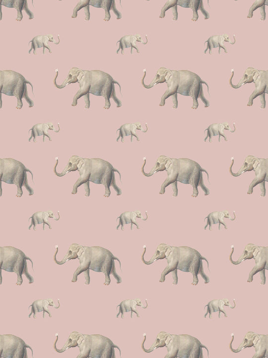 Eli (Our beloved elephant) Wallpaper - Dusty Pink