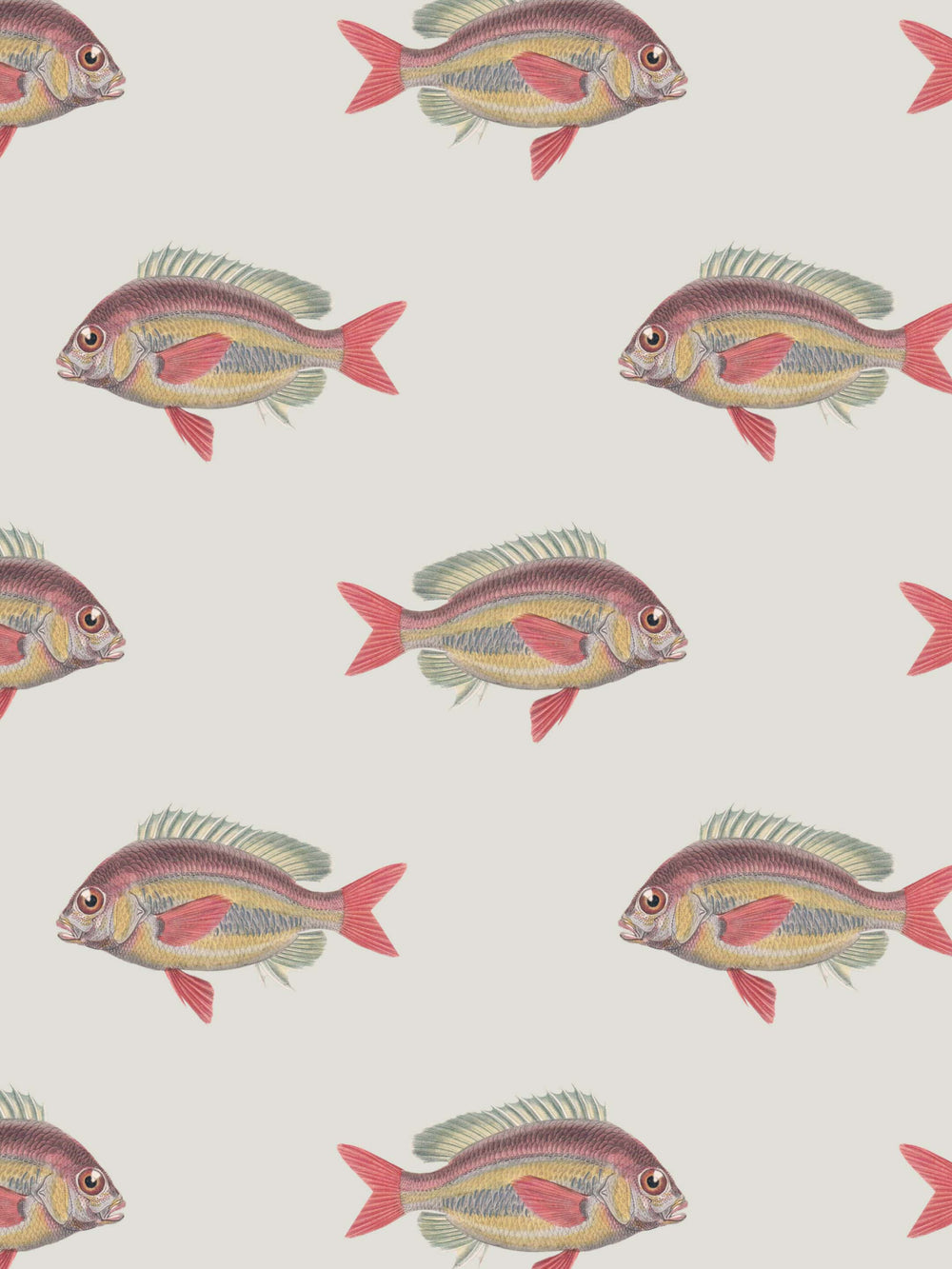 home wallpaper Pattern of colorful fish on a light background