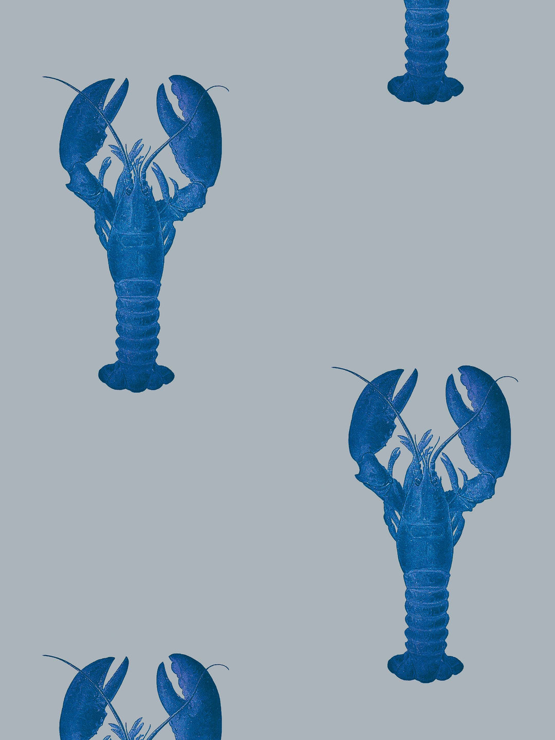 Bright cobolt blue lobsters on a grey background feature on this lobster wallpaper design by Milola Design