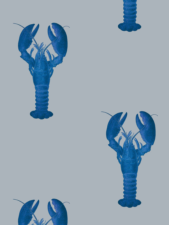 Bright cobolt blue lobsters on a grey background feature on this lobster wallpaper design by Milola Design