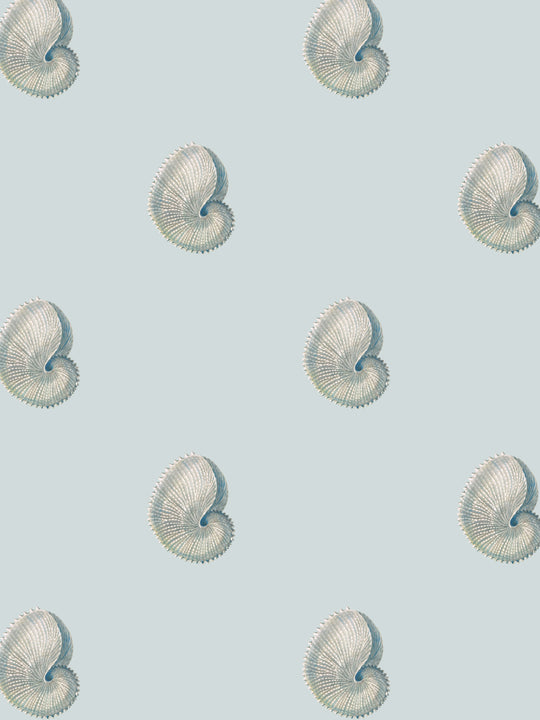 A home wallpaper pattern of shells on a light blue background