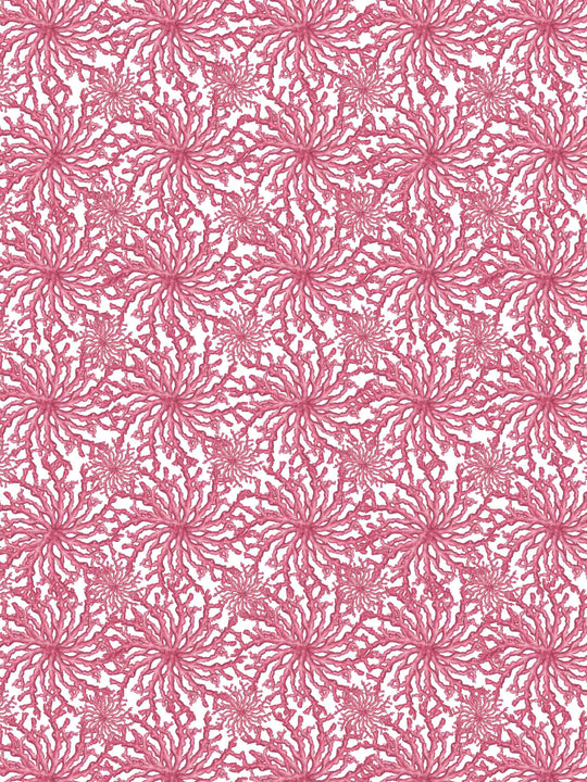 Coral Haze Wallpaper - Fuchsia Pink