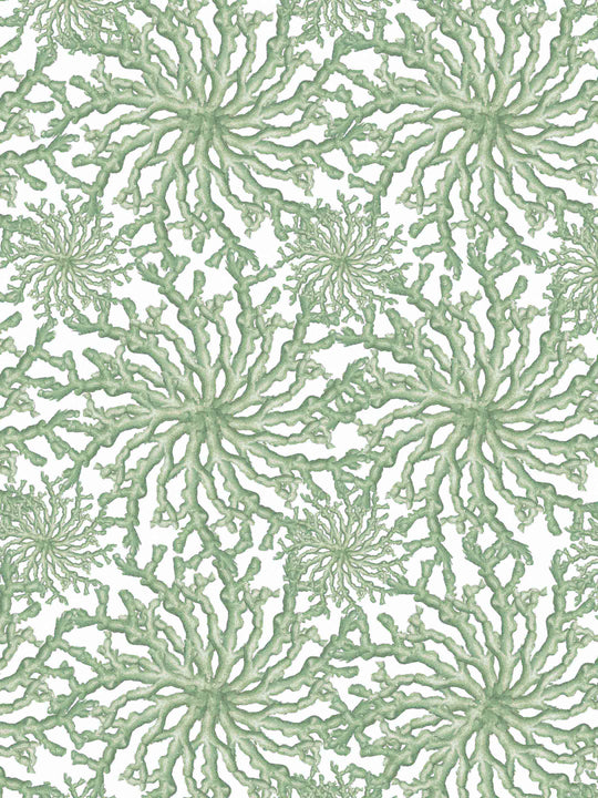 coral wallpaper design in pale sage green and white