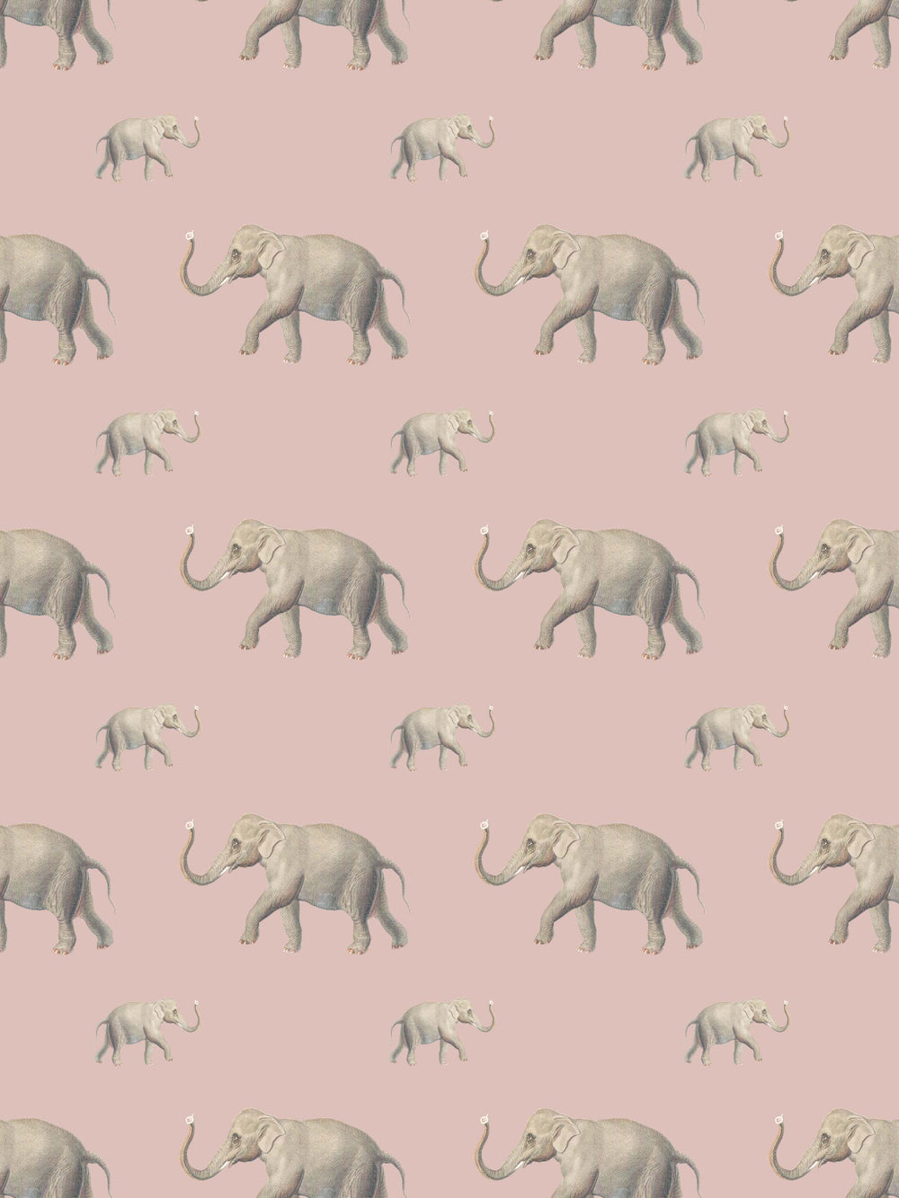 Eli (Our beloved elephant) Wallpaper - Dusty Pink