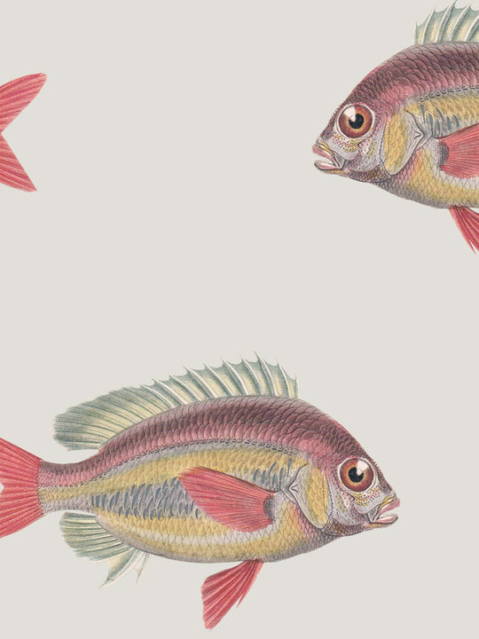 Close up of a detailed fish wallpaper design for home decor