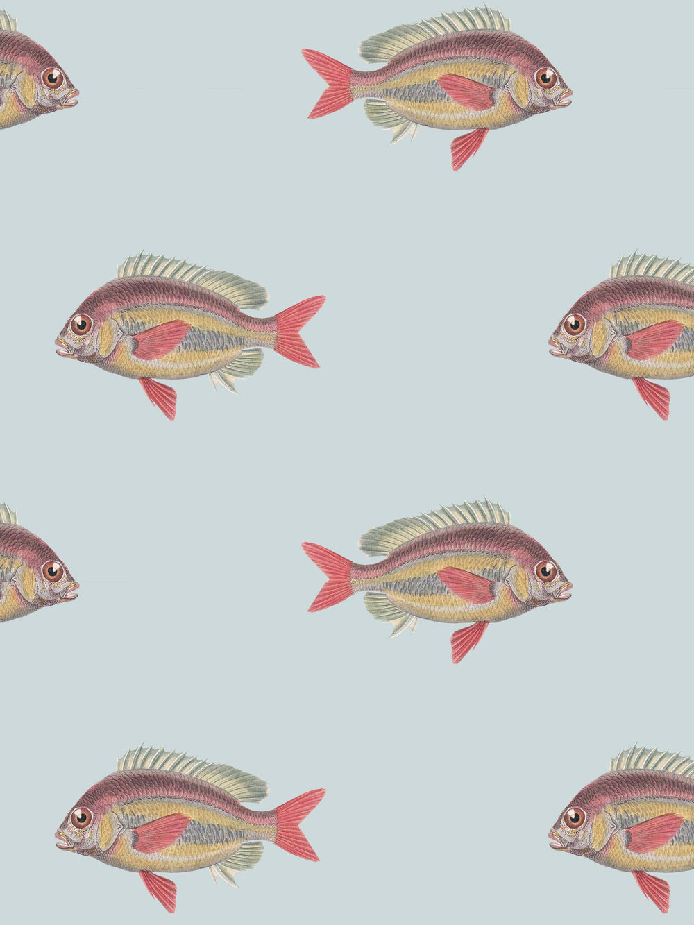 Home wallpaper pattern of colorful fish on a light blue background
