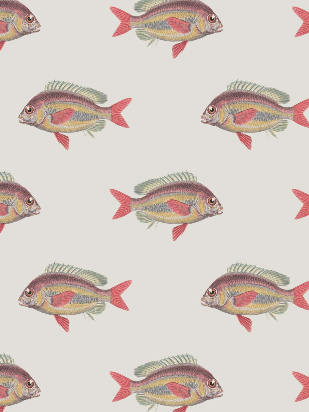 home wallpaper Pattern of colorful fish on a light background