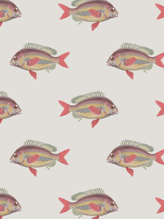 home wallpaper Pattern of colorful fish on a light background