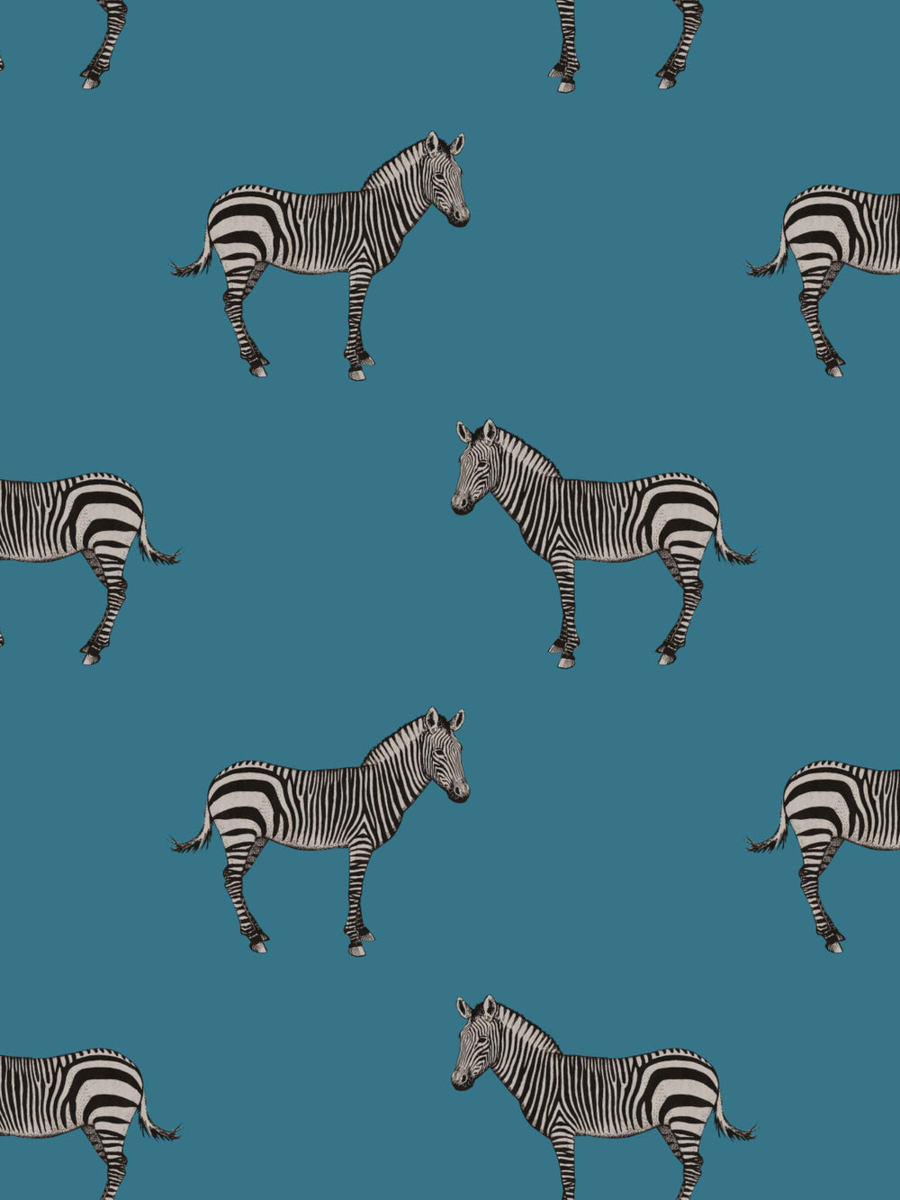 Home Wallpaper Pattern of illustrated zebras on a teal blue background