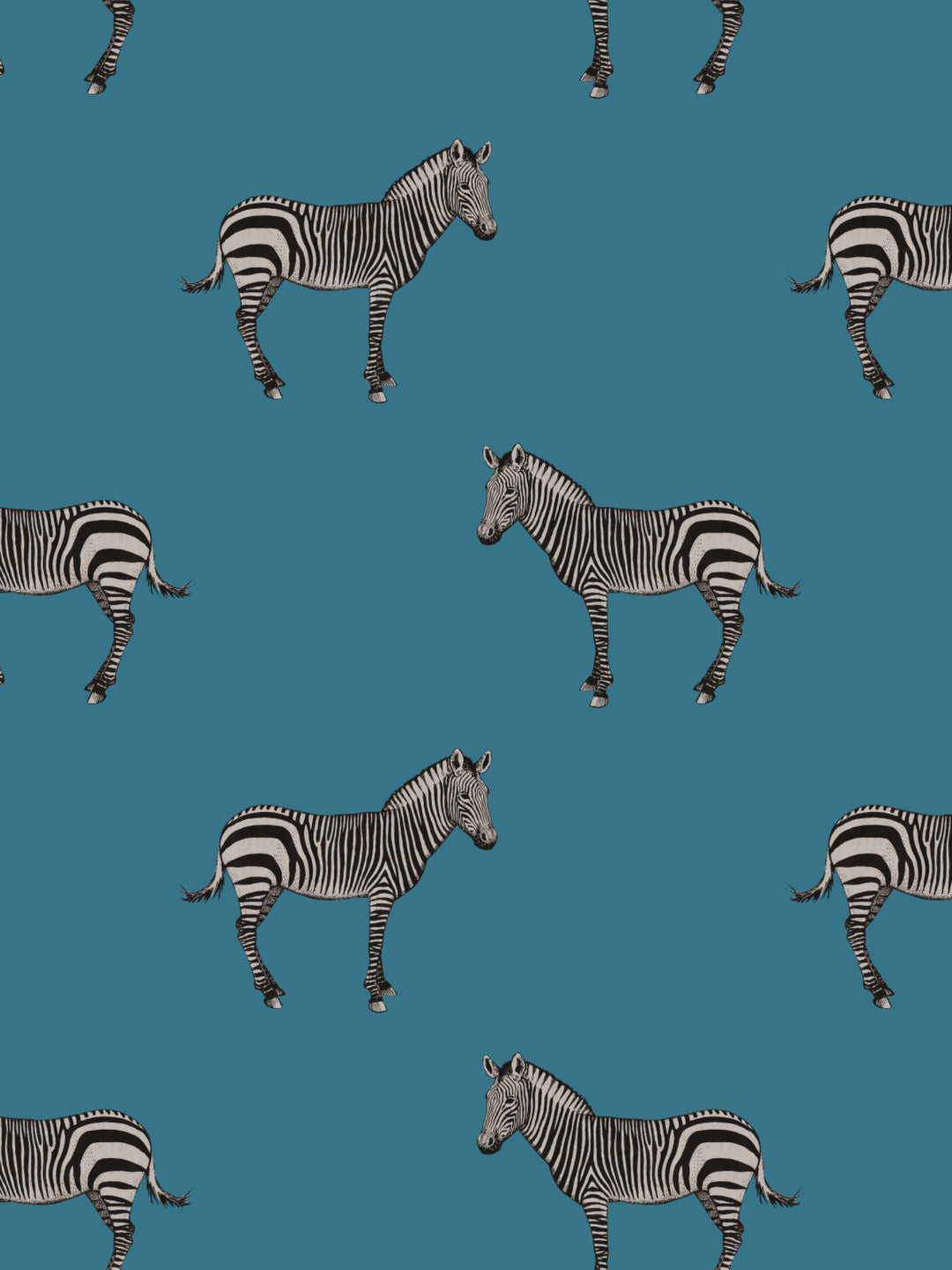 Home Wallpaper Pattern of illustrated zebras on a teal blue background
