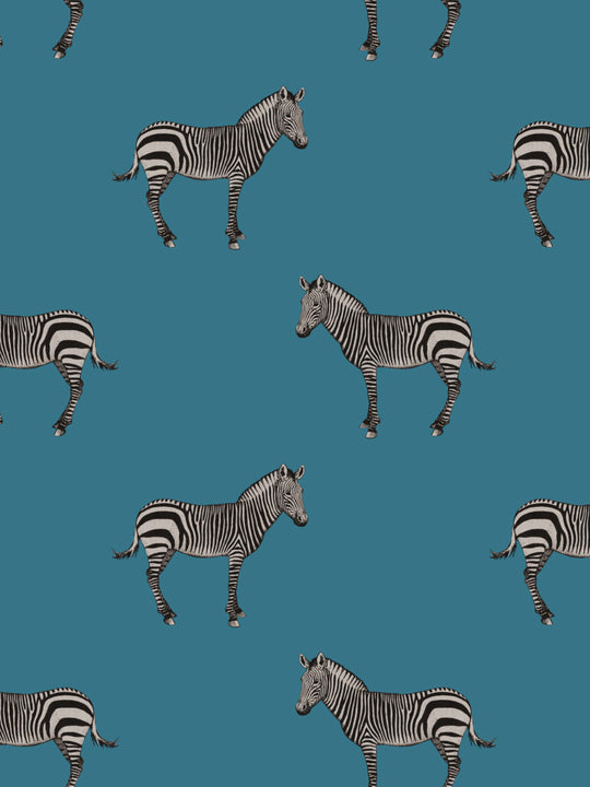 Home Wallpaper Pattern of illustrated zebras on a teal blue background