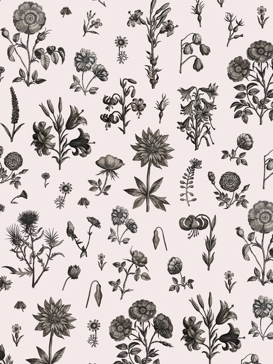 A floral monochromatic wallpaper  - Detailed flowers in charcoal on a pale pink background