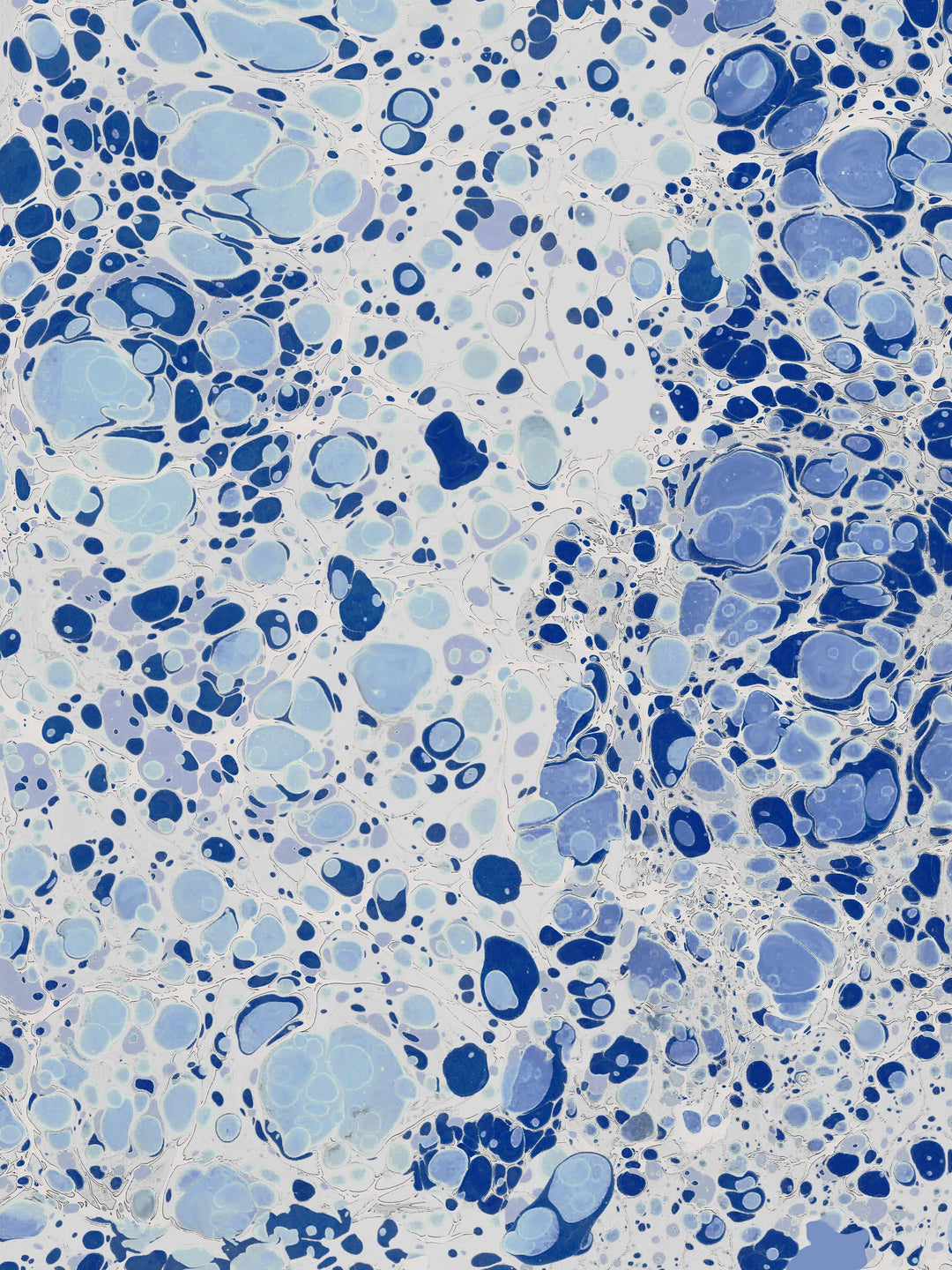 Home wallpaper with a marbled pattern in blue and white 