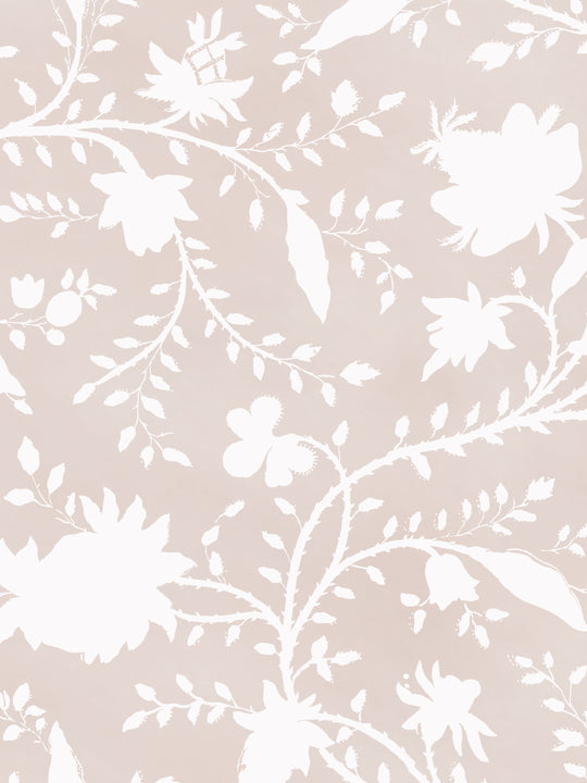 pale pink and white floral home wallpaper design 