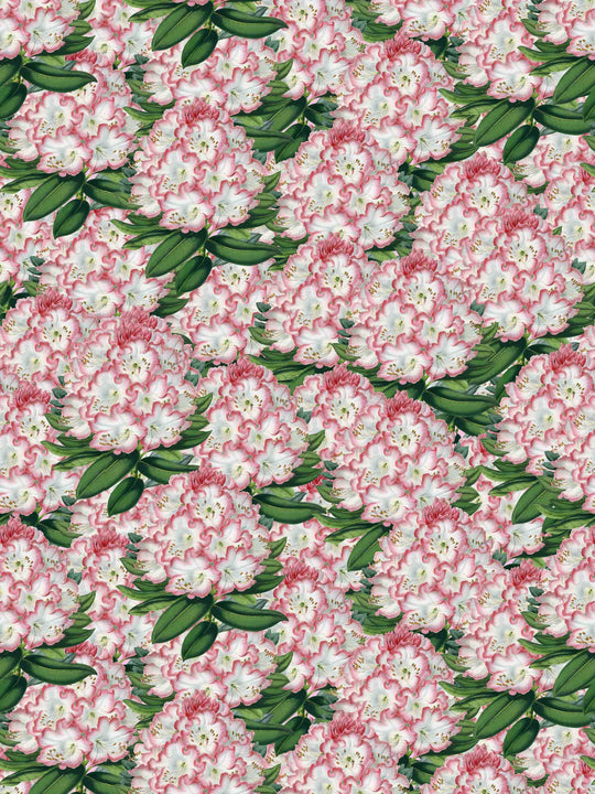 Maximalist floral wallpaper pattern of pink and white flowers with green leaves