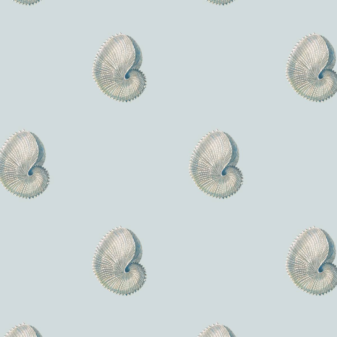 A home wallpaper pattern of shells on a light blue background