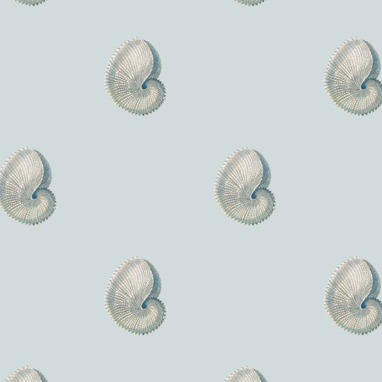 A home wallpaper pattern of shells on a light blue background