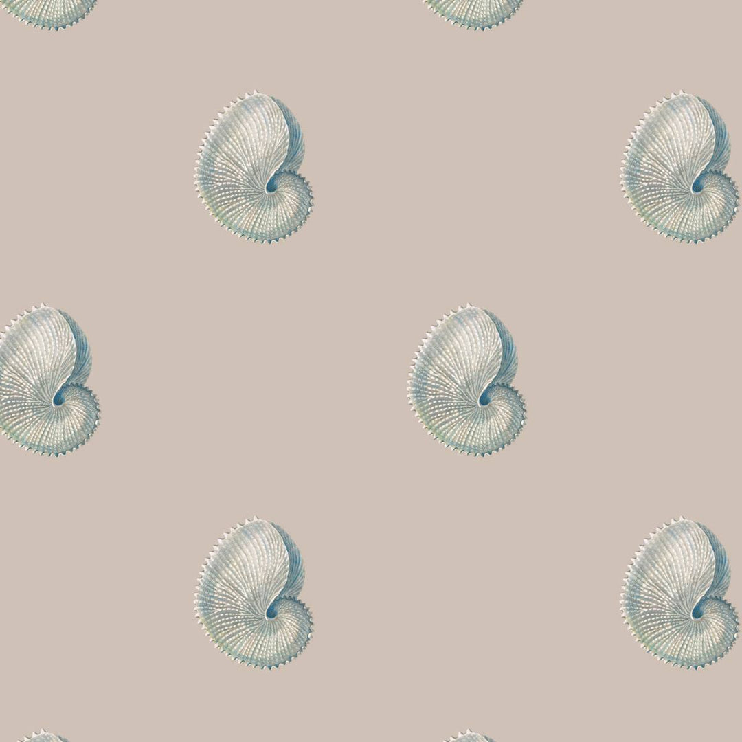 Wallpaper pattern of delicate argonaut  shells on a pink taupe background