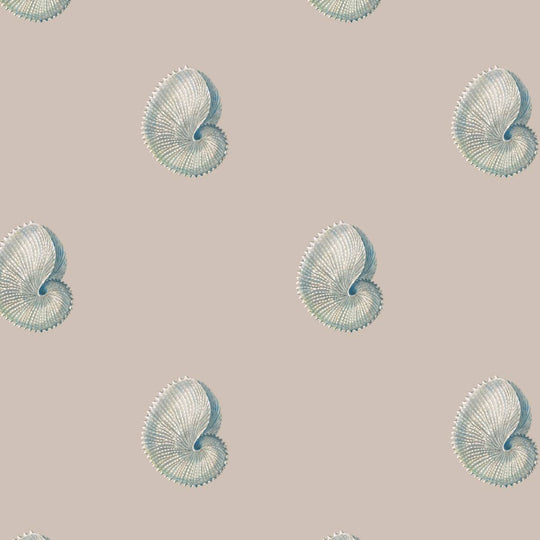 Wallpaper pattern of delicate argonaut  shells on a pink taupe background