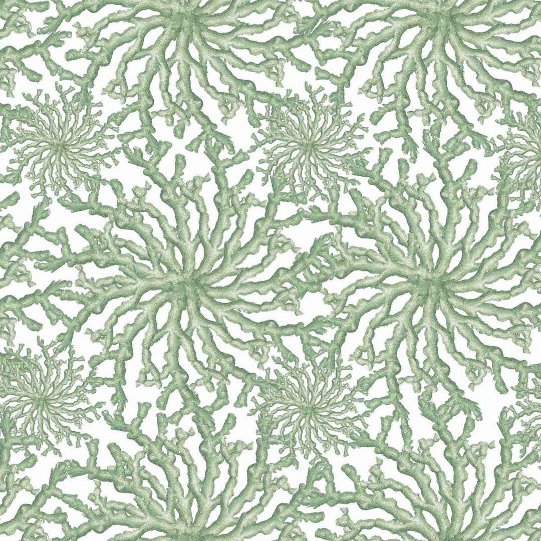 Coral Haze wallpaper in sage green, close-up detail of the coral pattern