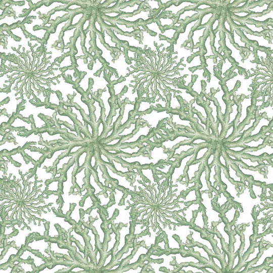 Coral Haze wallpaper in sage green, close-up detail of the coral pattern