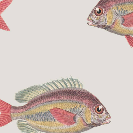 home wallpaper Pattern of colorful fish on a light background