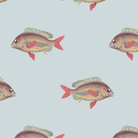 Home wallpaper pattern of colorful fish on a light blue background