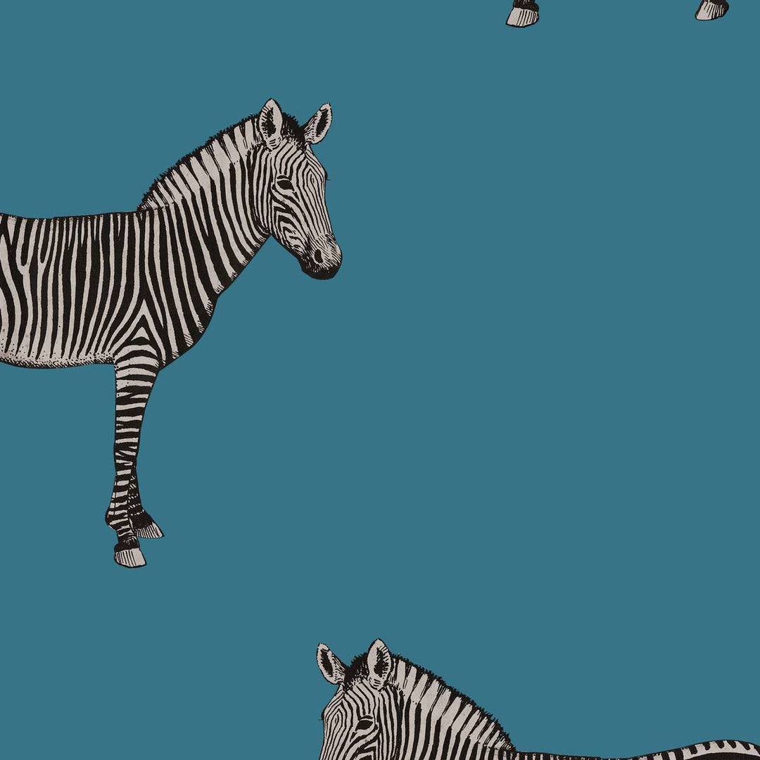 Home Wallpaper Pattern of illustrated zebras on a teal blue background