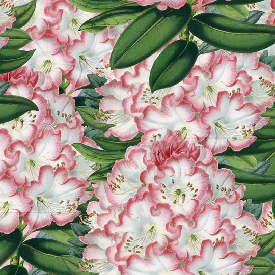Spring Forever Floral Wallpaper - Pink