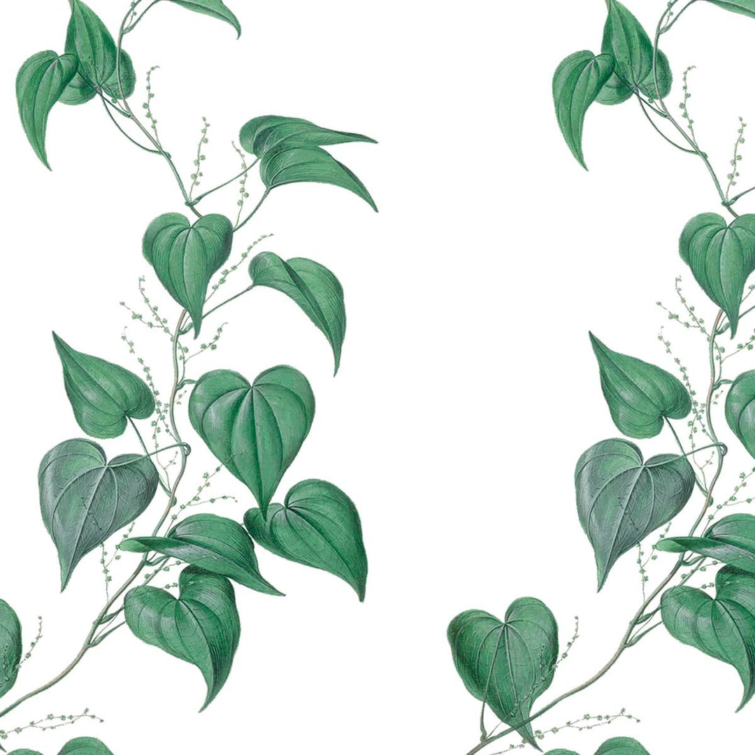Vines Botanical Wallpaper - Green, flat lay of the repeating pattern