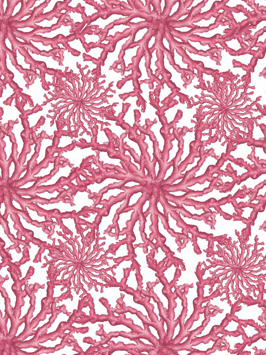 Coral Haze Wallpaper - Fuchsia Pink