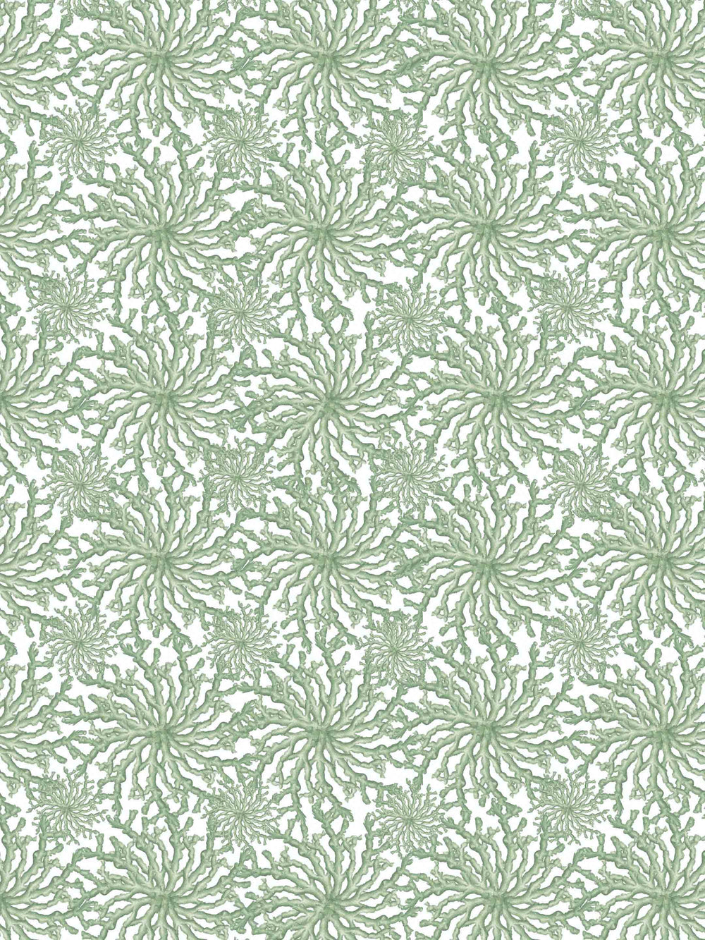 Coral Haze - Sage Green - Wallpaper - Milola Design