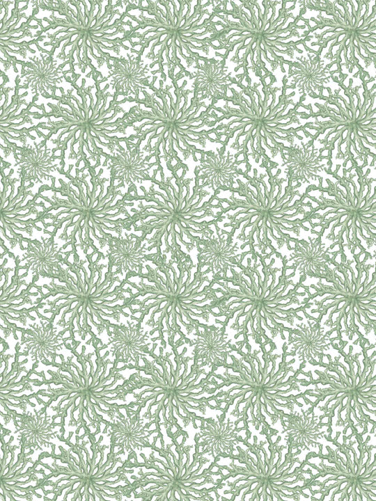 Coral Haze - Sage Green - Wallpaper - Milola Design