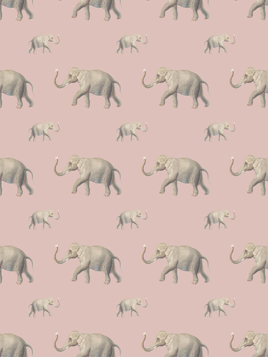 Eli - Dusty Pink - Wallpaper - Milola Design