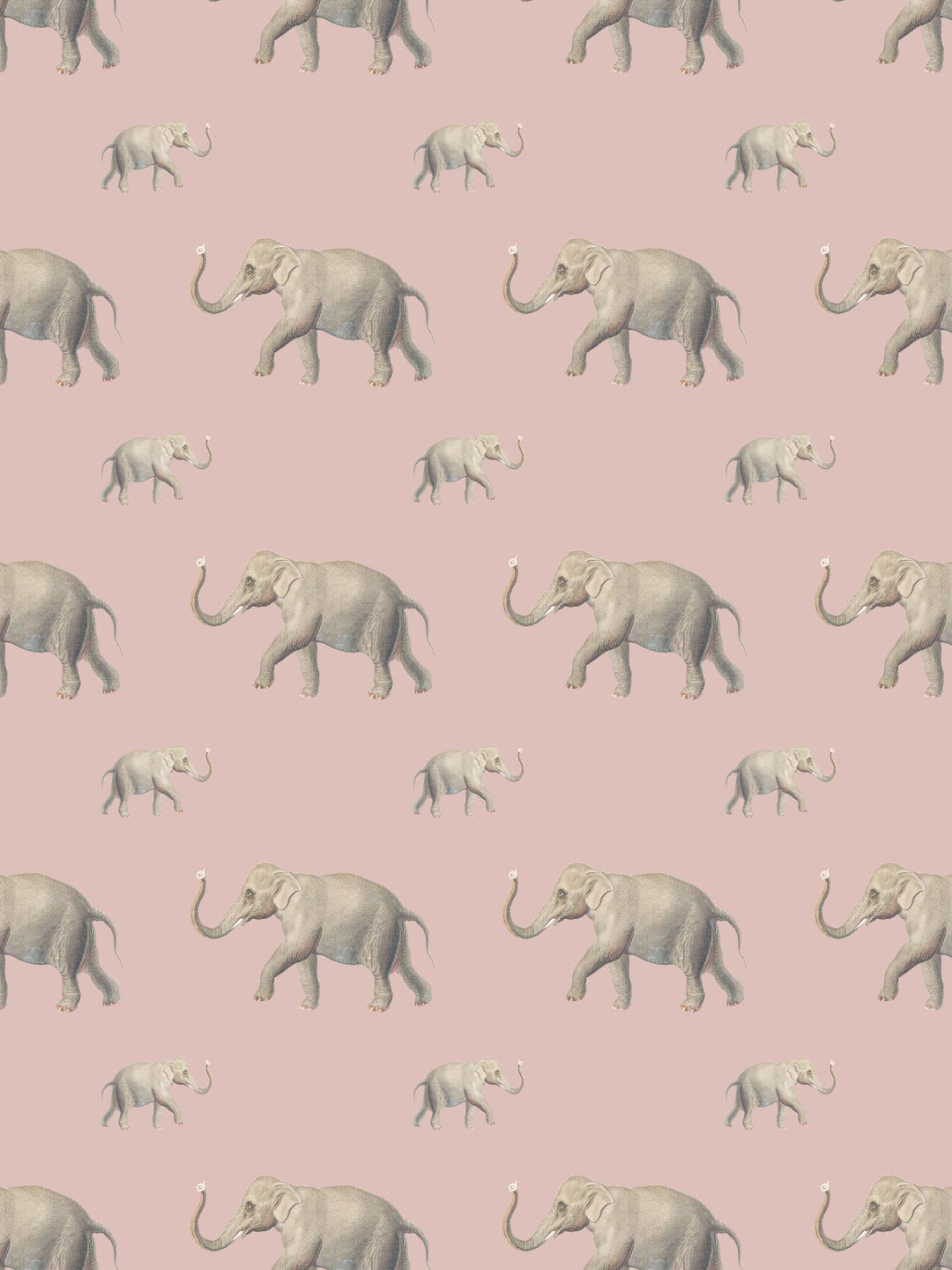 Eli - Dusty Pink - Wallpaper - Milola Design