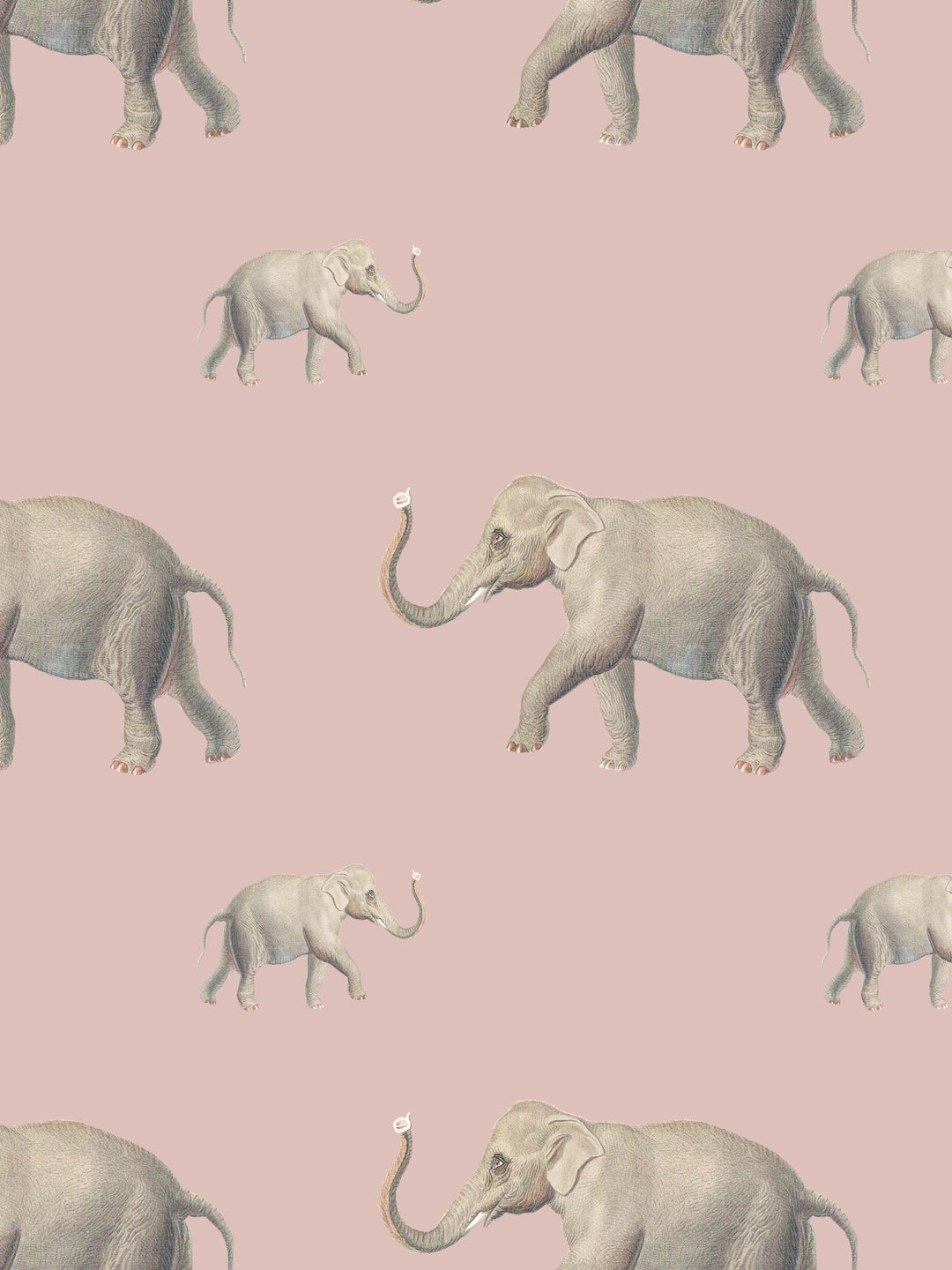 Eli (Our beloved elephant) Wallpaper - Dusty Pink