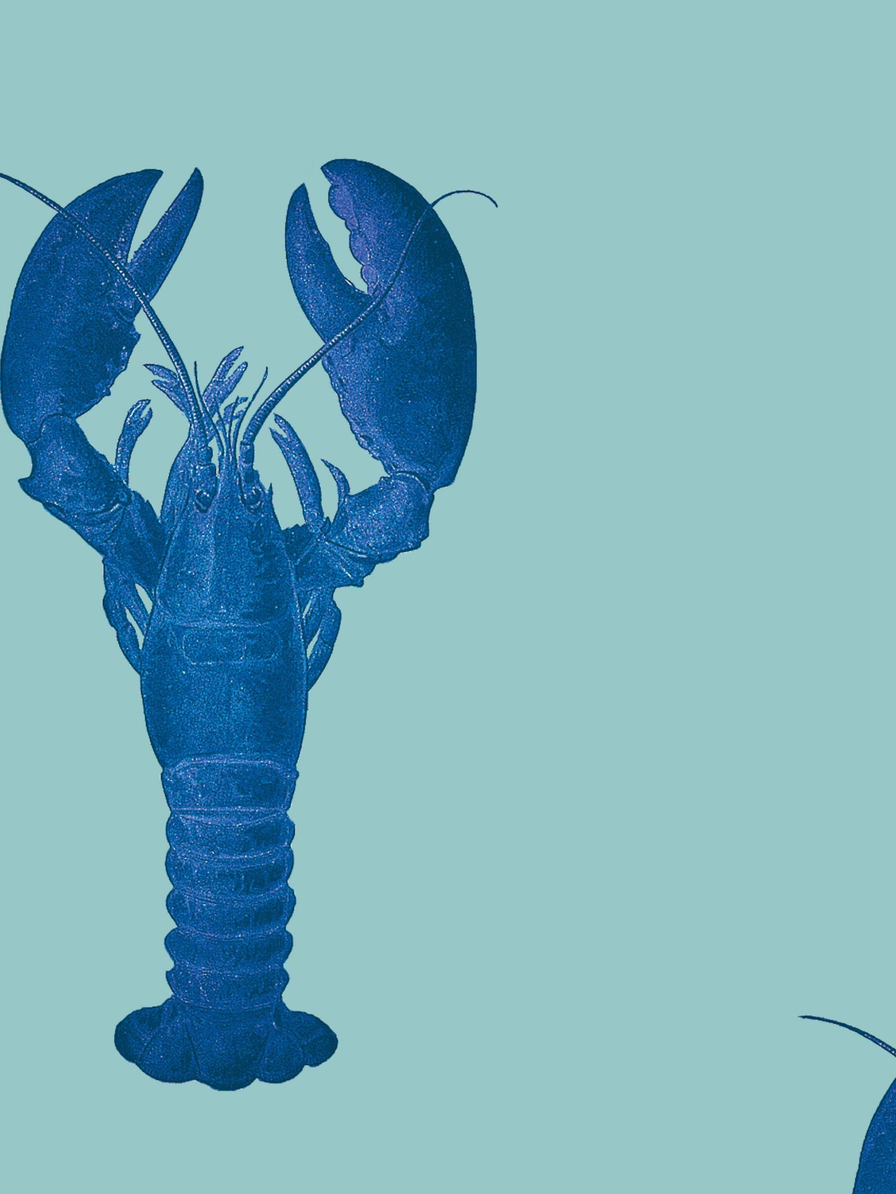 Lobster Wallpaper Aquaman Blue By Milola Design lobster-wallpaper-aquaman-blue-by-milola-design