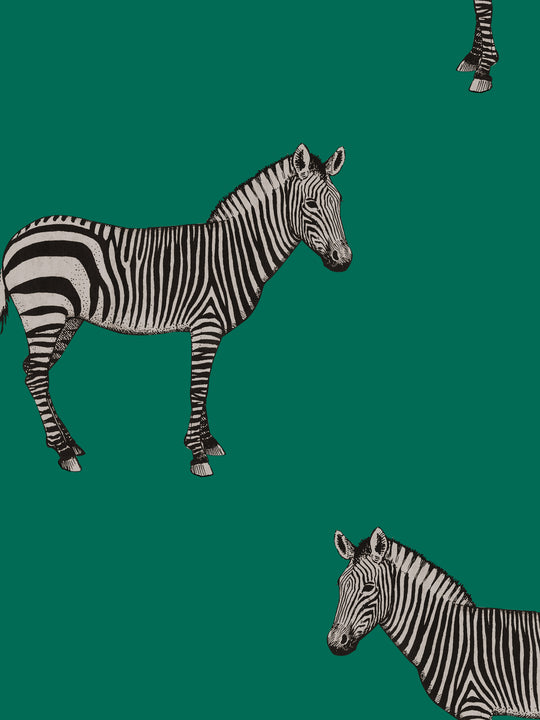 Mr. Z. Zebra Wallpaper - Forest Green