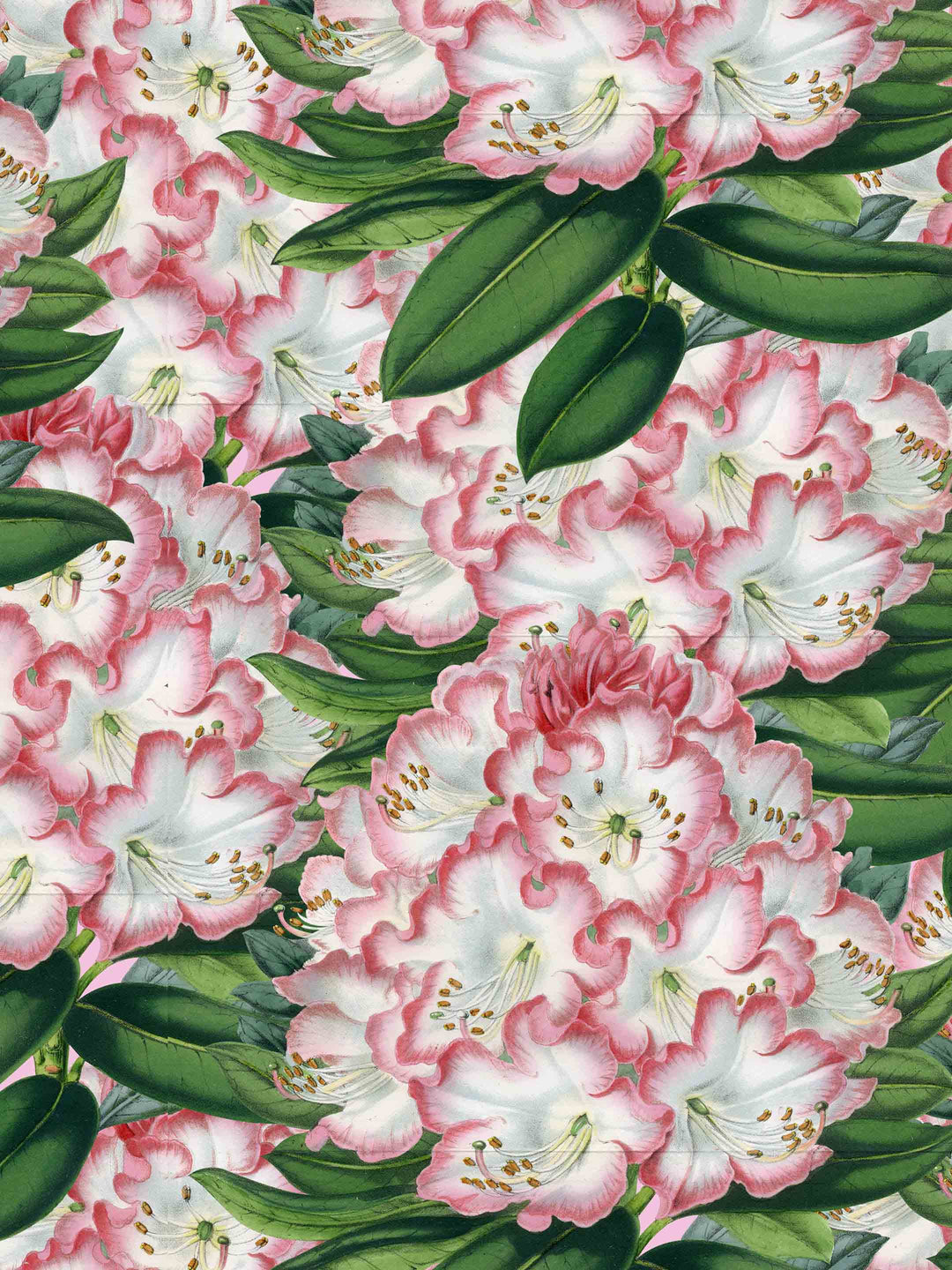 Spring Forever Floral Wallpaper - Pink