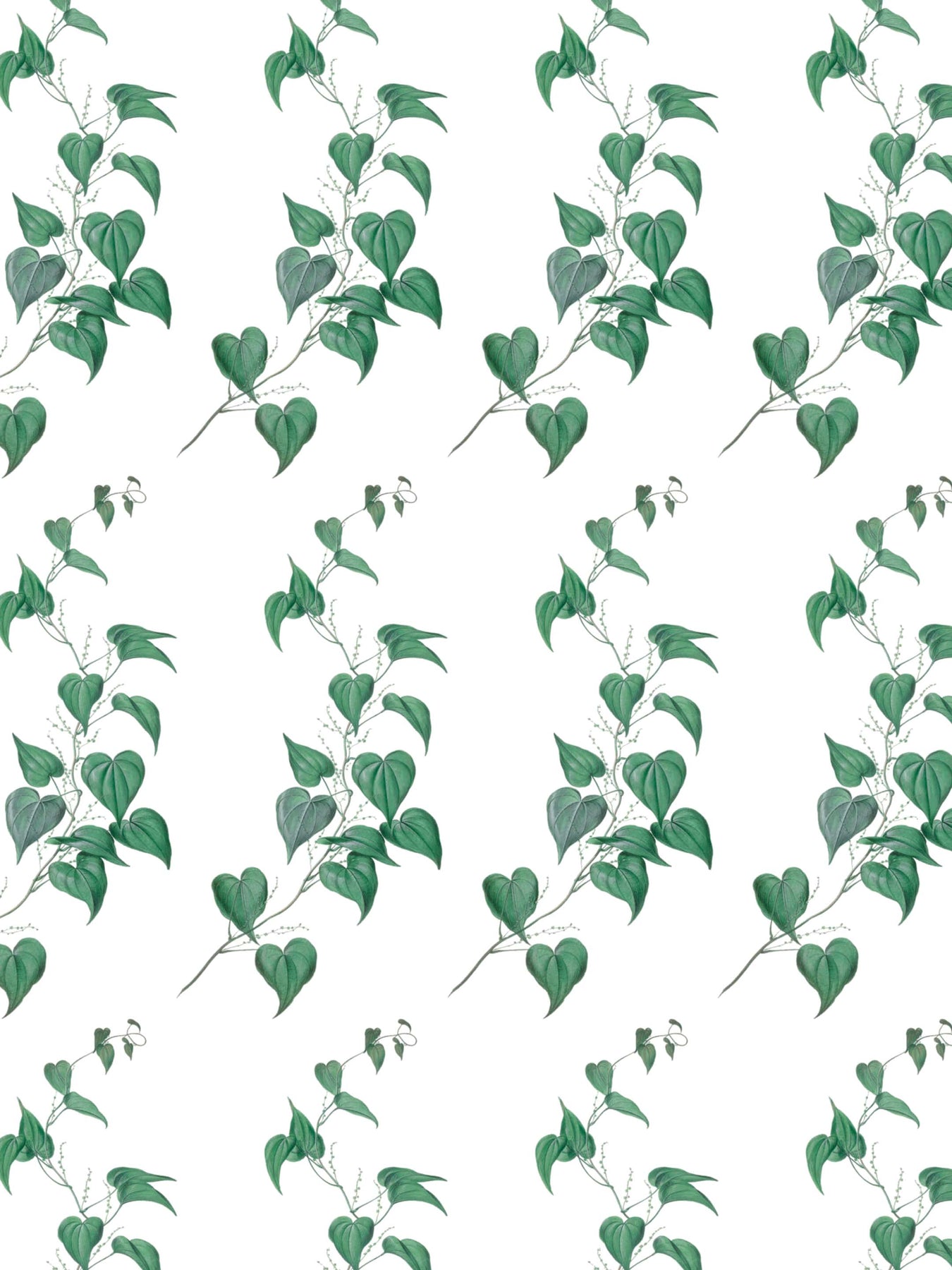 AT9622 CLEO VINE Wallpaper Green and White from the Anna French Savoy  collection